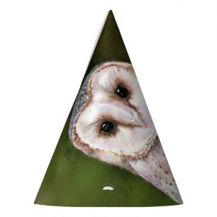 Gorra Fiesta de Lechuza Barn Occidental - Pintura