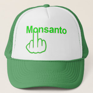 Gorra Monsanto Flip