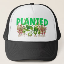 GORRA PLANTADO