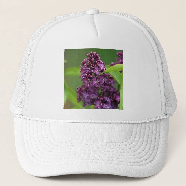 Gorra Purple Lilac (Anverso)