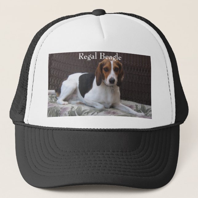Gorra real del perro de caza del beagle (Anverso)