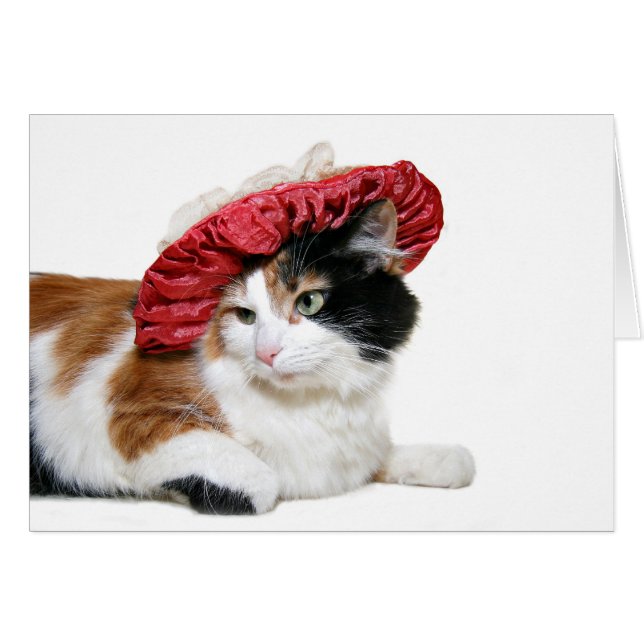 Gorra Rojo Kitty (Anverso (Horizontal))