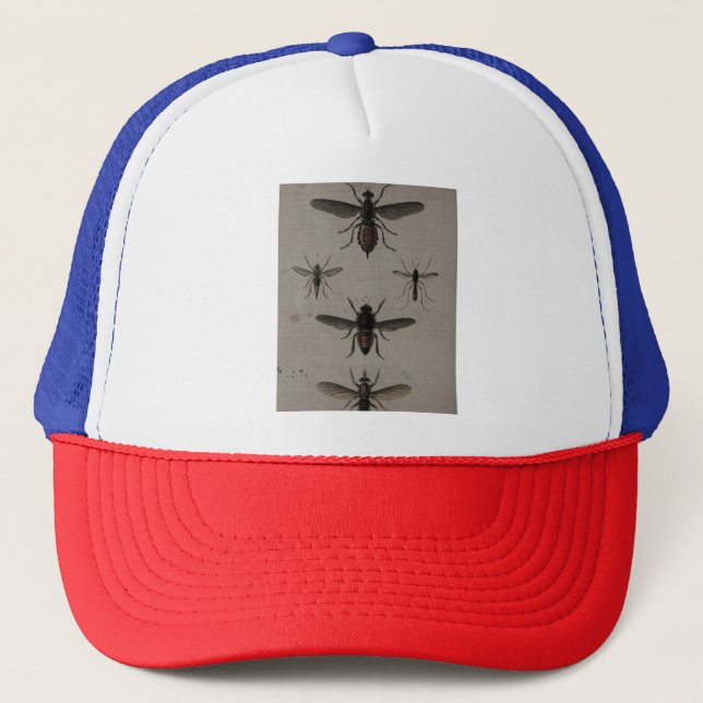 gorras (Anverso)