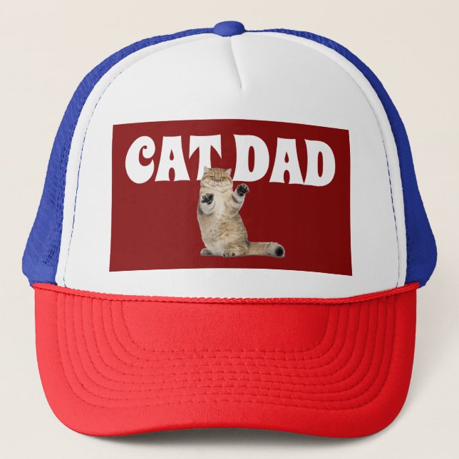 GORRAS de CAT DAD BALL CAPS (Anverso)