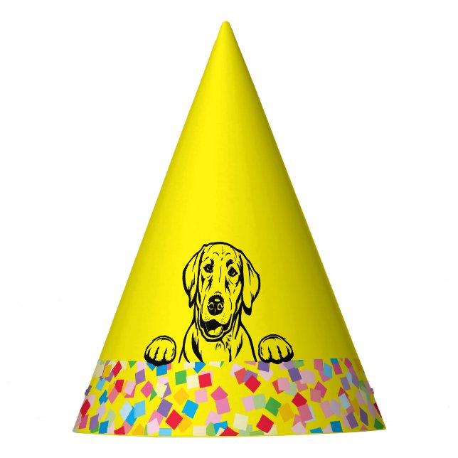 gorras Fiestas de Labrador Confetti (Anverso)