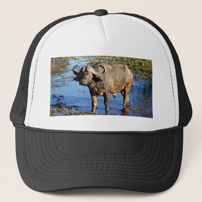 Gorras y casquillos del safari del búfalo del cabo (Anverso)