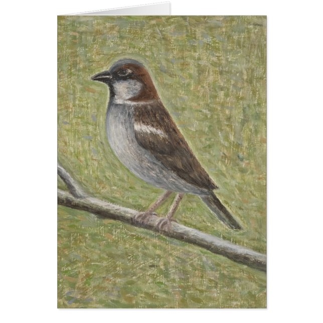 Gorrión de casa 2008 (Frente)