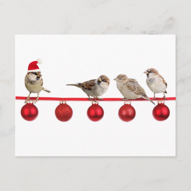 Gorriones de los pájaros del navidad (Anverso)