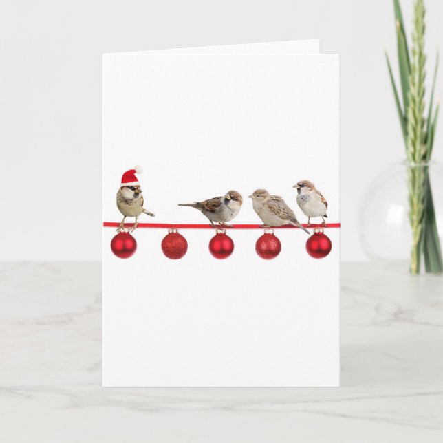 Gorriones de los pájaros del navidad (Anverso)