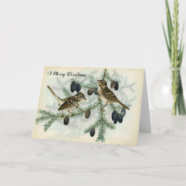 Gorriones del navidad el día de fiesta de las