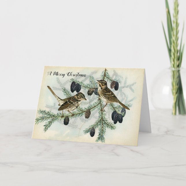 Gorriones del navidad el día de fiesta de las (Anverso)