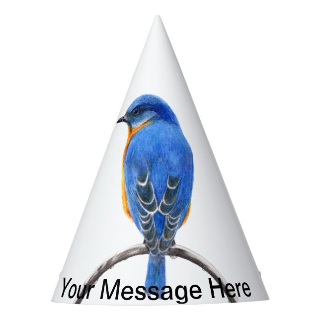 Gorro De Fiesta Bluebird (Anverso)