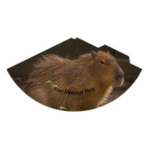 Gorro De Fiesta Capibara