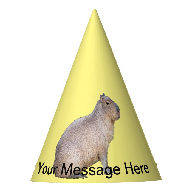 Gorro De Fiesta Capibara (Anverso)