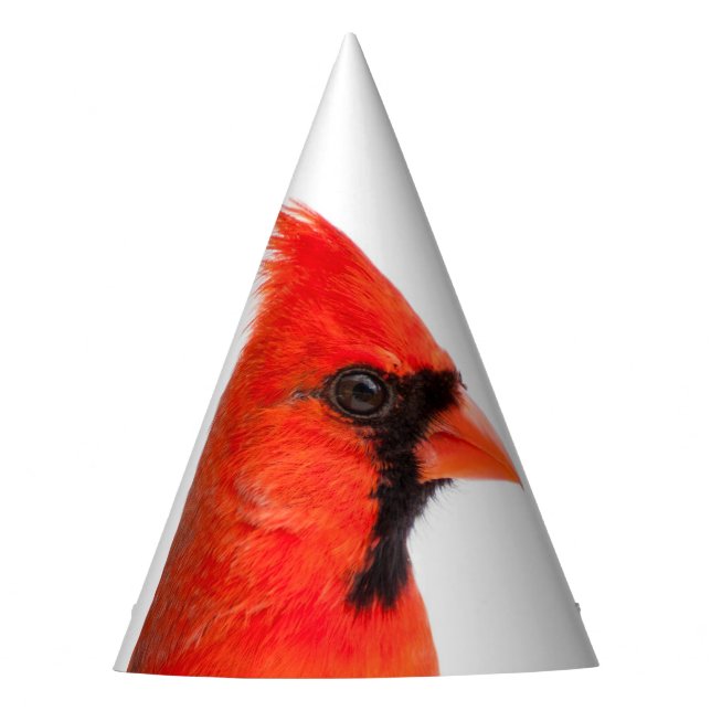 Gorro De Fiesta Cardinal (Anverso)