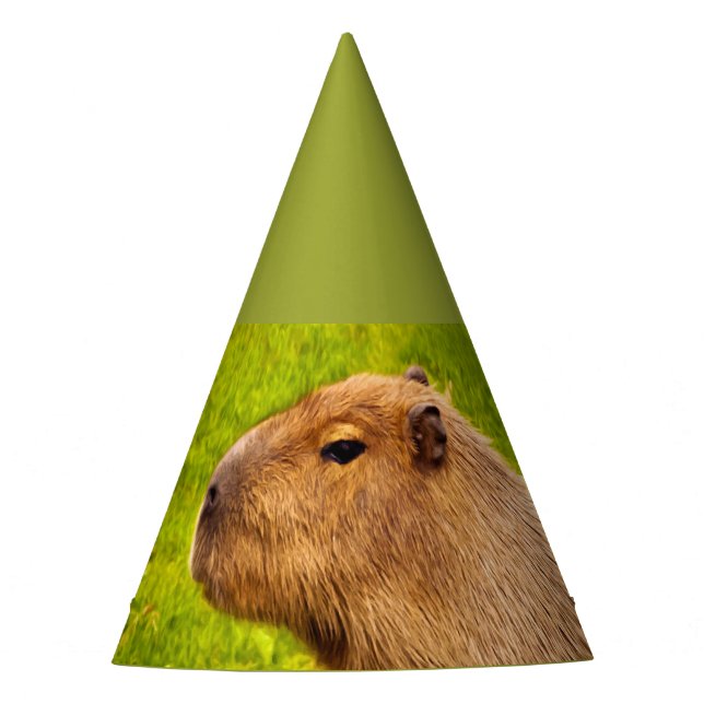 Gorro De Fiesta Carpincho (Anverso)