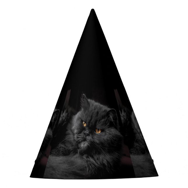 Gorro De Fiesta Cat_20180101_by_JAMFoto (Anverso)