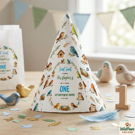 Gorro De Fiesta Cute Birds 1st Birthday Party – Fun Kids 