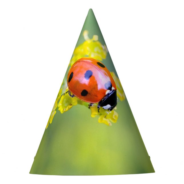 Gorro De Fiesta dama encima (Anverso)