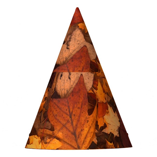 Gorro De Fiesta el otoño (Anverso)