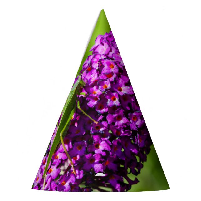 Gorro De Fiesta energía katydid (Izquierda)