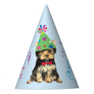 Gorro De Fiesta Fiesta de Cumpleaños