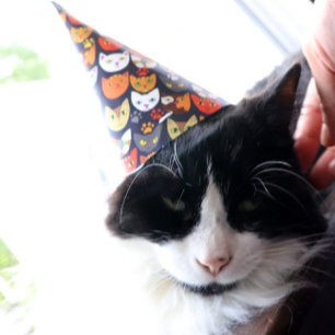 Gorro De Fiesta Fiesta de gato