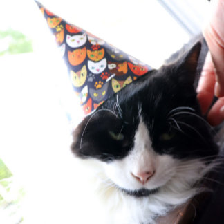 Gorro De Fiesta Fiesta de gato