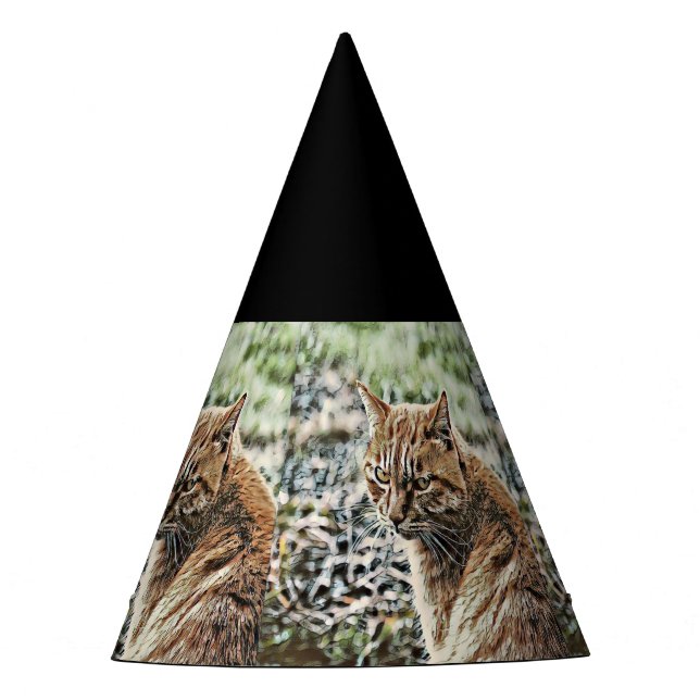 Gorro De Fiesta gato de juguete (Anverso)