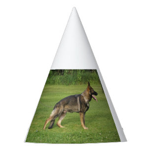 Gorro De Fiesta gsd a prueba de todos