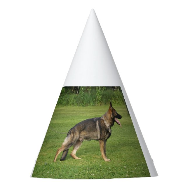 Gorro De Fiesta gsd a prueba de todos (Anverso)