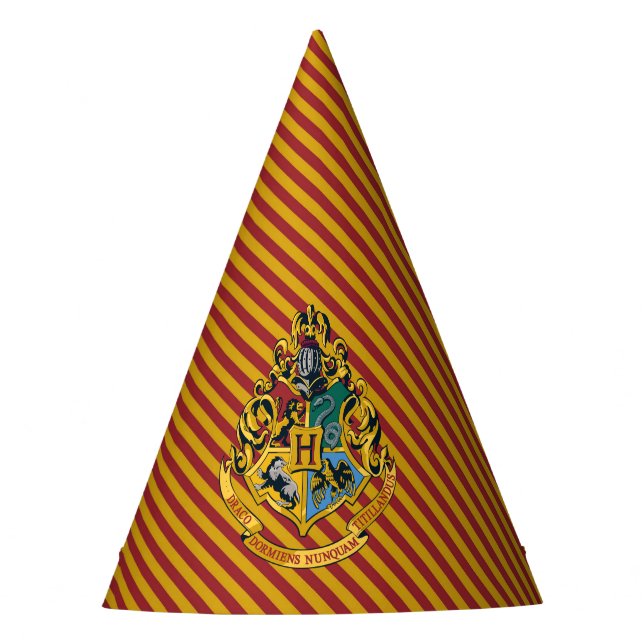 Gorro De Fiesta Harry Potter | Cumpleaños de Hogwarts (Anverso)