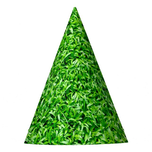 Gorro De Fiesta Hierba verde (Anverso)