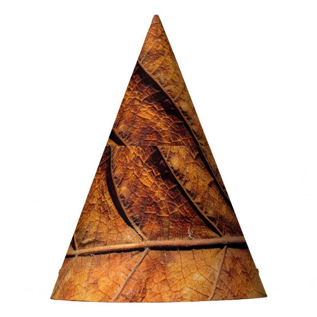 Gorro De Fiesta Hoja seca: fondo de textura natural. (Anverso)