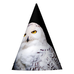 Gorro De Fiesta Majestuoso búho de invierno
