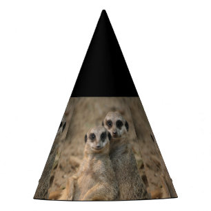 Gorro De Fiesta Meerkat_20170901_by_JAMFoto