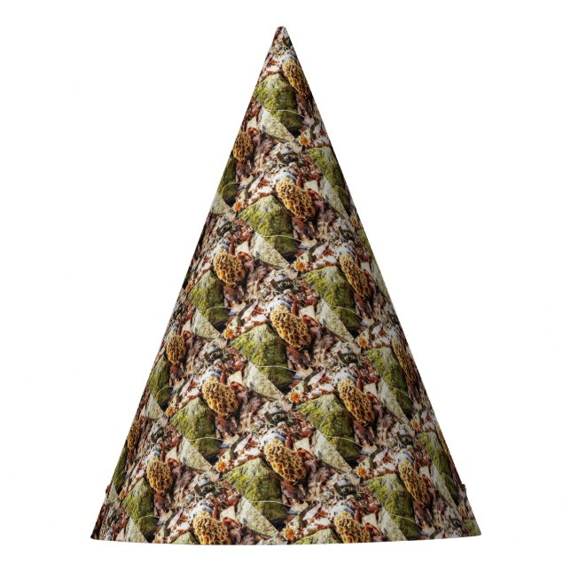 Gorro De Fiesta Morel Mushroom en el salvaje (Anverso)