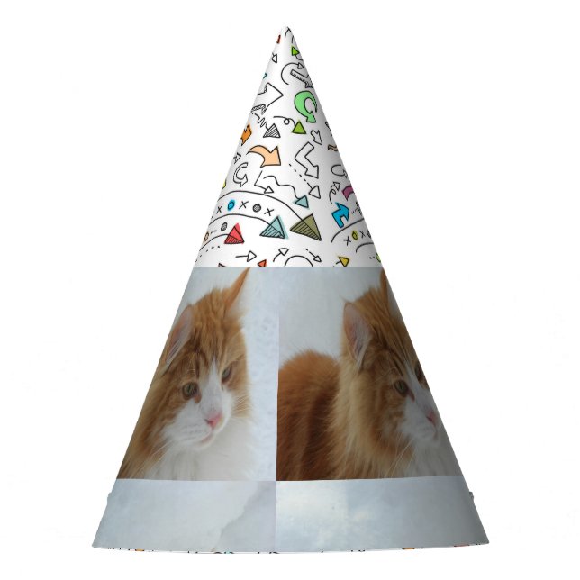 Gorro De Fiesta Norwegian_Forest_Cat (Anverso)