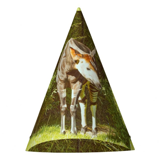 Gorro De Fiesta okapi (Anverso)