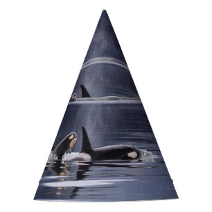 Gorro De Fiesta Orcas