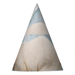Gorro De Fiesta Oso Polar: Vistazo al Zoo Habitat