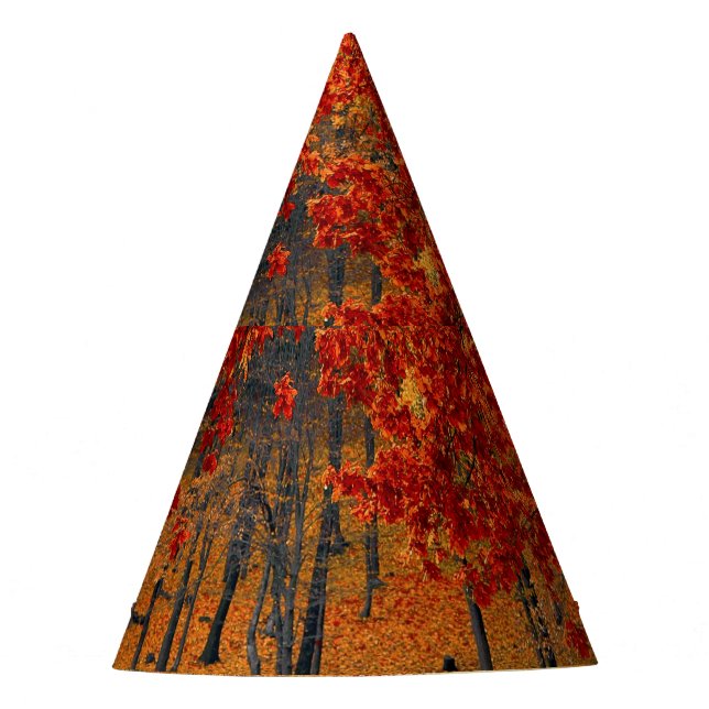 Gorro De Fiesta otoño en el bosque (Anverso)