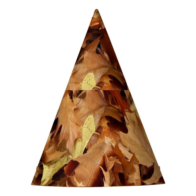 Gorro De Fiesta otoño, hojas secas (Anverso)