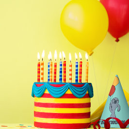 Gorro De Fiesta Partido de Cumpleaños de los Personalizados Manate