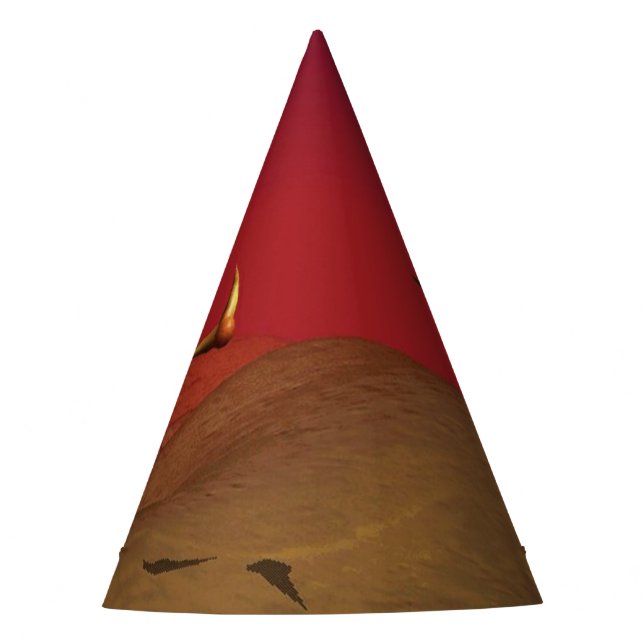 Gorro De Fiesta Party Hat (Anverso)