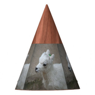Gorro De Fiesta pequeña cabra