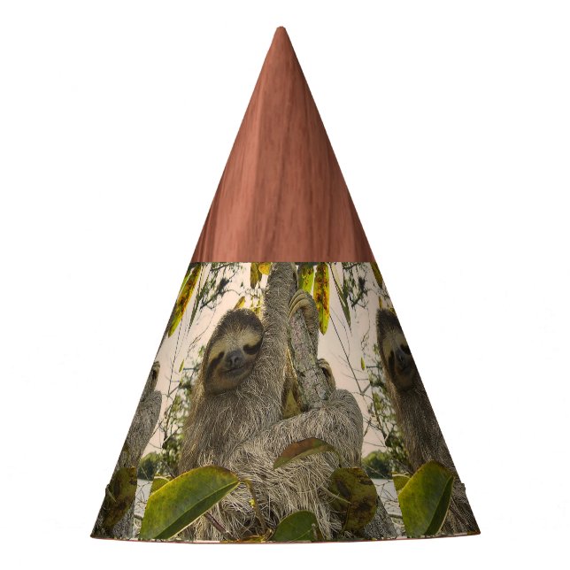 Gorro De Fiesta Pereza (Anverso)