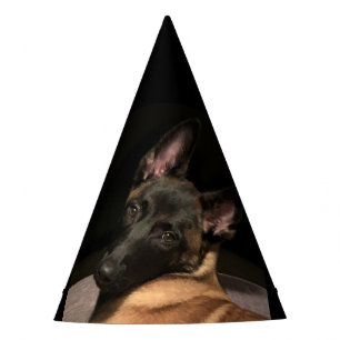 Gorro De Fiesta Perro belga malinois