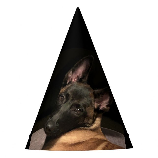 Gorro De Fiesta Perro de Malinois (Anverso)