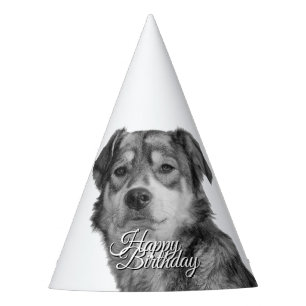 Gorro De Fiesta Perro Mestizo Monocromo Refinado Cumpleaños